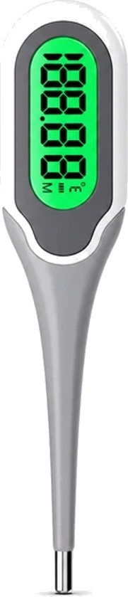 Digital Thermometers