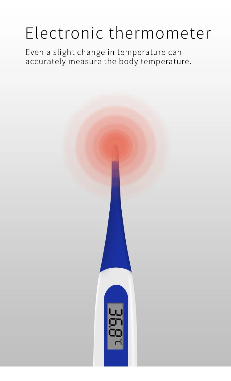 202 Digital Thermometer detail 1